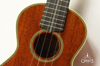 HM-C20 Concert -TR10th Anniversary Model- #361